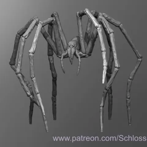 Tomb Spider