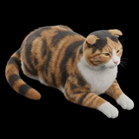 Cat relaxed ears sideways, cat, kitten, pet, animal, feline, cute, adorable, playful, lazy, curious, whiskers, tail, fur, paws