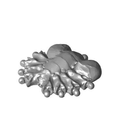 facehuggerbody