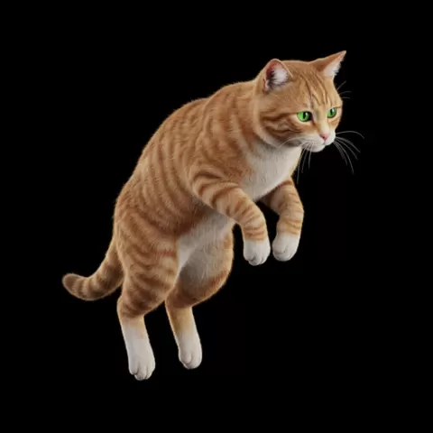 Cat small jump pose, cat, kitten, pet, animal, feline, cute, adorable, playful, lazy, curious, whiskers, tail, fur, paws