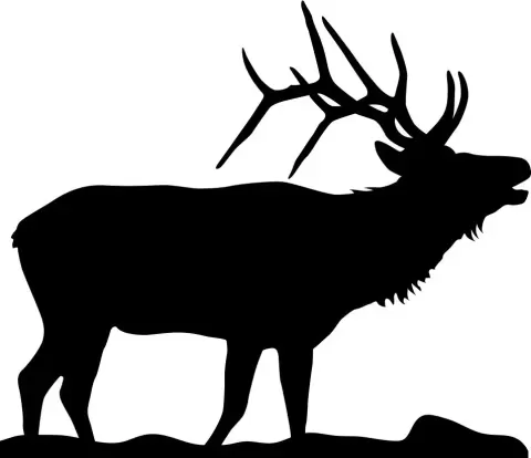 Elk Head Keychain - issPeterParker
