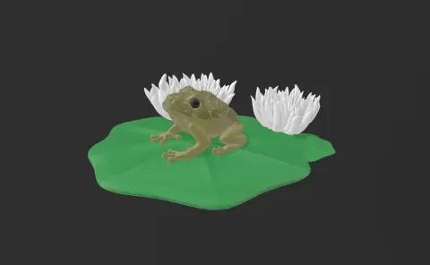 Frog Display - Mr3DBeast