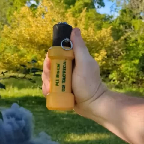M1 RSED