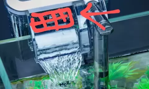 filtre pour évacuation du filtre cascade d'aquarium - yokiyoki du 49000