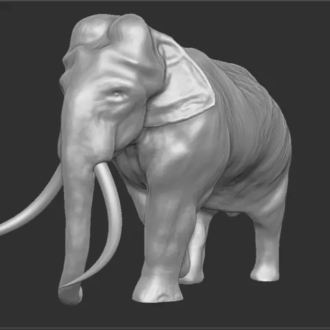 Elephant Home decor