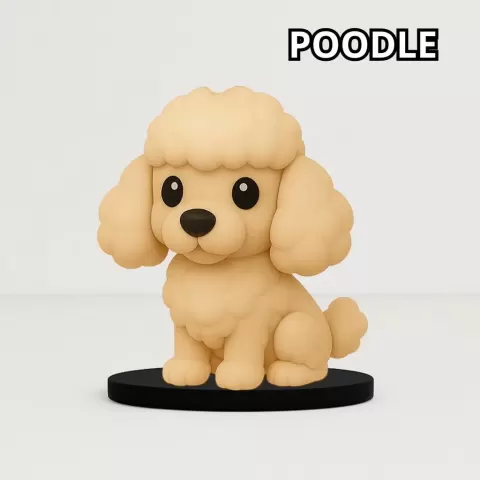 Cute Poodle - NicoToons