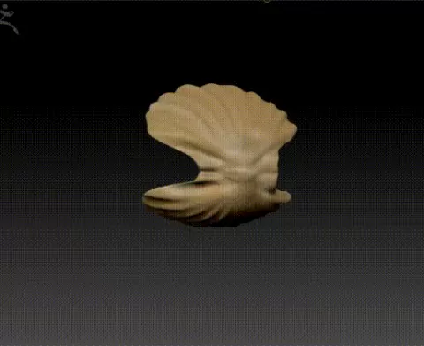 3D Pearl in Oyster Model