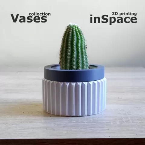 Plant vase - Cactus #6