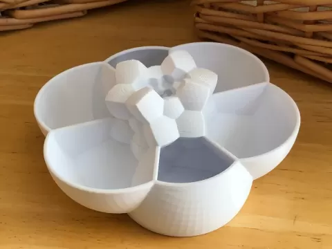 120-Cell Polychora Planter