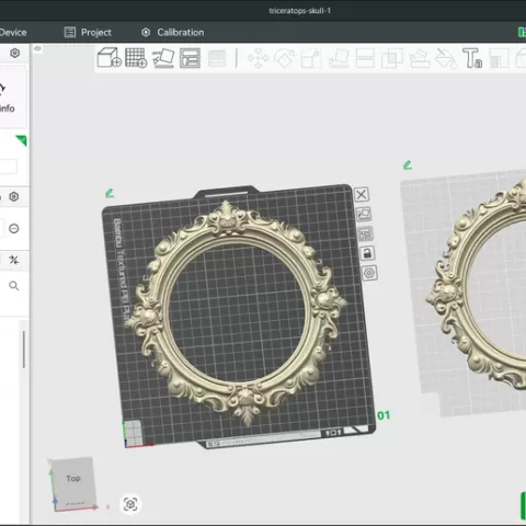 Baroque-Inspired Circular Wall Frame