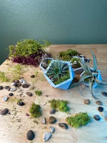 Icosahedron Planters