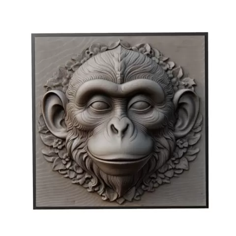 Monkey Animal Relief