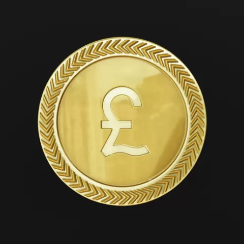 pound coin