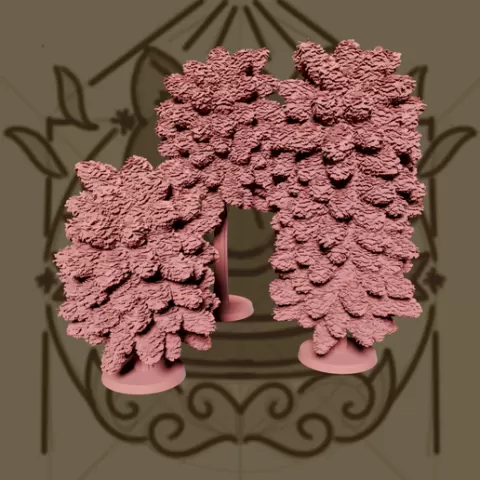 Ginko Tree