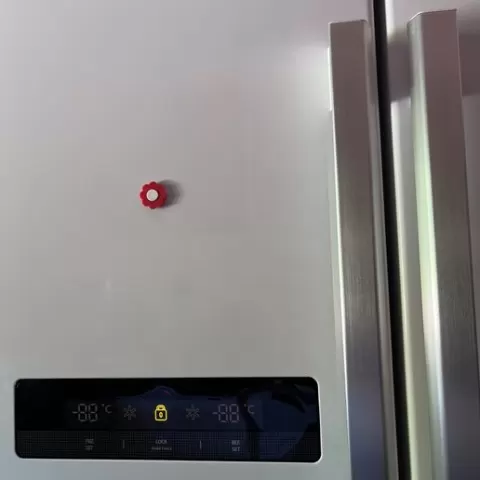 Flower Fridge Magnet