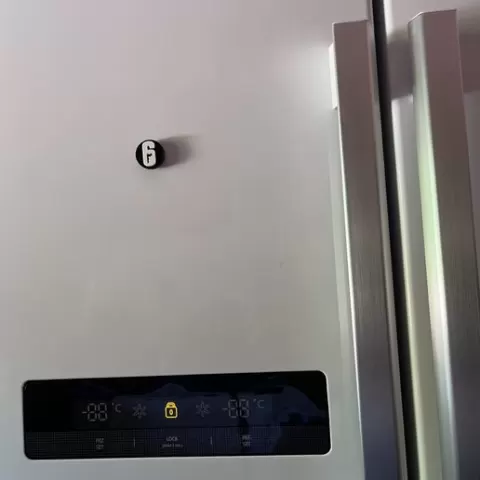 Rainbow Six Siege Fridge Magnet