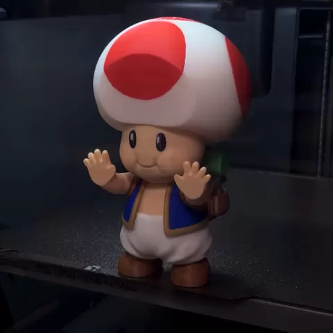 Toad face on window