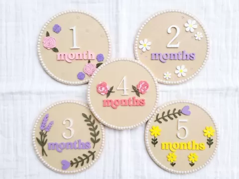 Floral Baby Monthly Milestone Signs (1-6 Months)