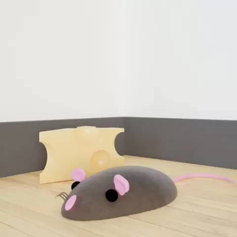 Mouse' cheese