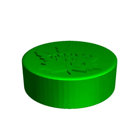 Maple Leafs puck