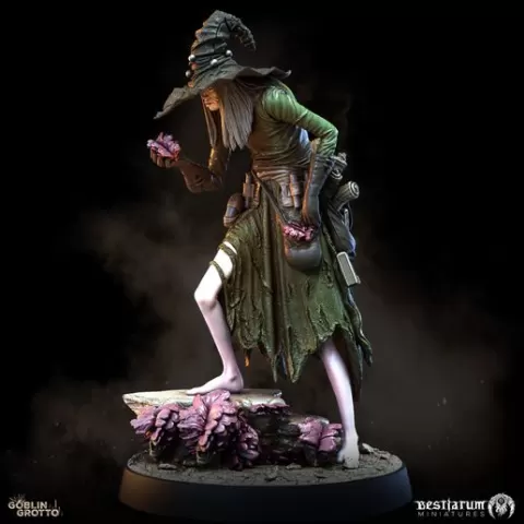 Fungal Hermit