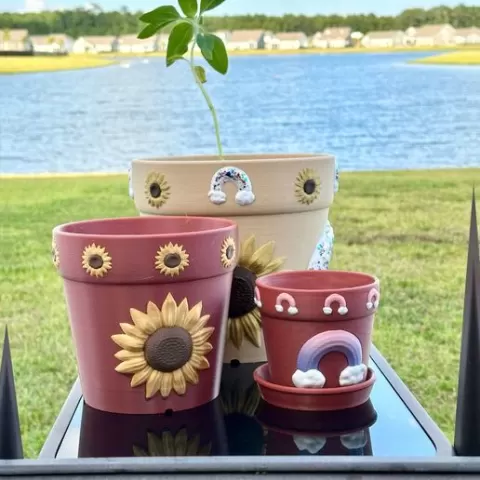 Sunflower and Rainbow Planters Collection