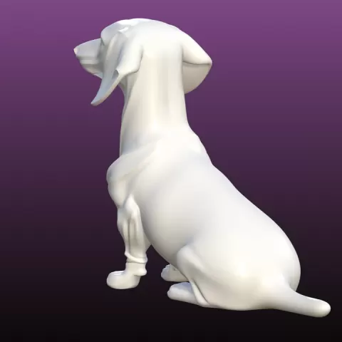 Dachhund by TTenebrisX