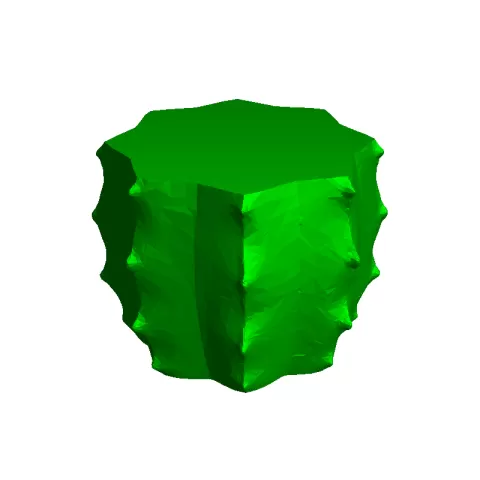 cactus - viking digital