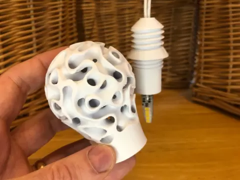 Spring Bulb 7