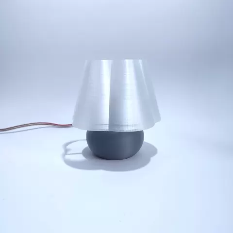 Mini- Flower Lamp - Shack3D print