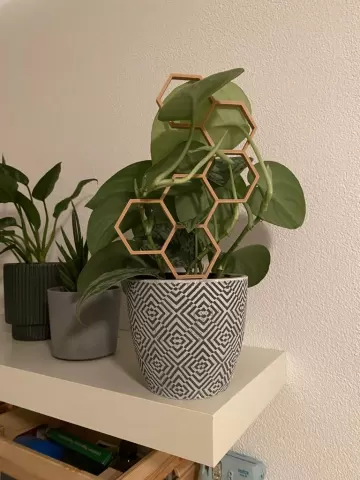 Multiple Plant Support / Plant Trellis / Hexagon / Honeycomb V2