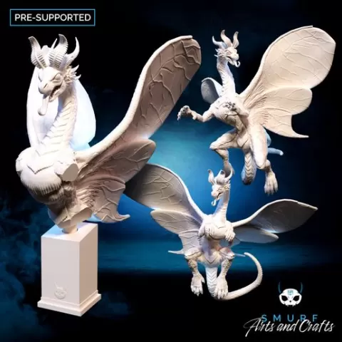 Fairy Dragons and Bust