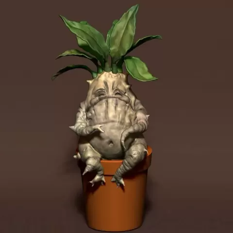 MANDRAKE