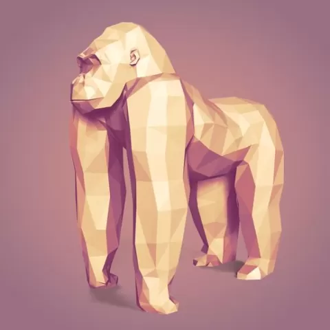 Gorilla