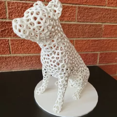 Voronoi Stafford model
