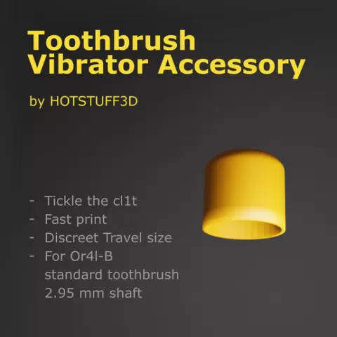 Toothbrush Vibrator Accessory