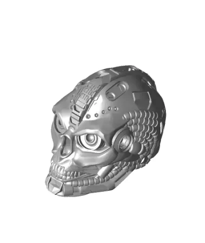 Cyber Skull Flat Bottom