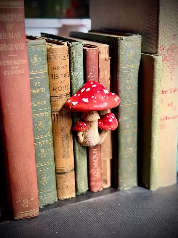Mushrooms spine hugger