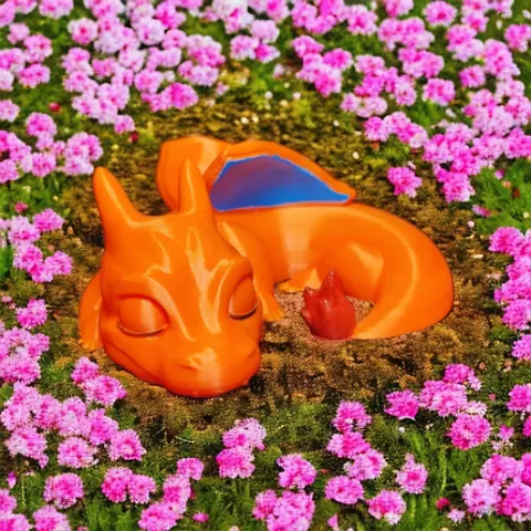 Sleeping Charizard ( Support Free )