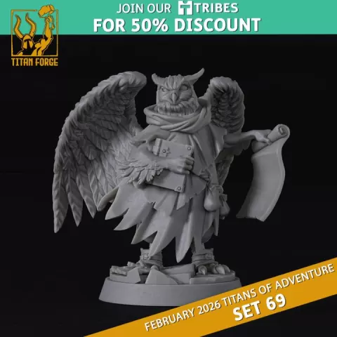 Male Owl Wizard - DnD Hero Characters - Titans of Adventure Set 69 by Titan Forge Miniatures
