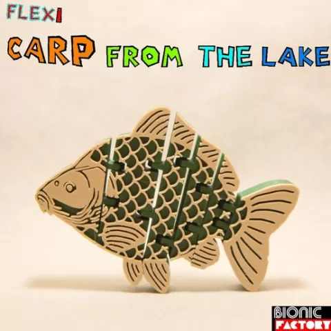 FLEXI CARP FROM THE LAKE