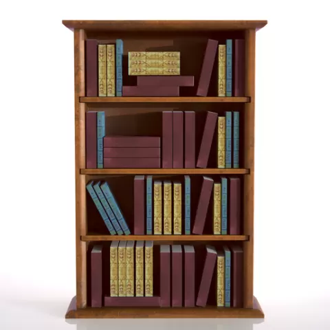 Mini Library Kit