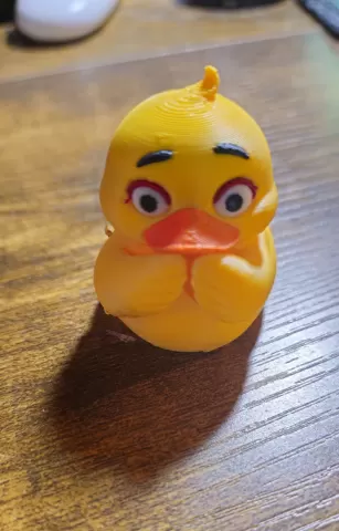 Shy Duck