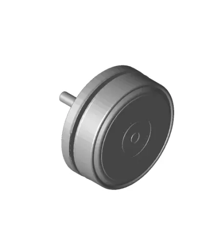Maxon EC45 Motor