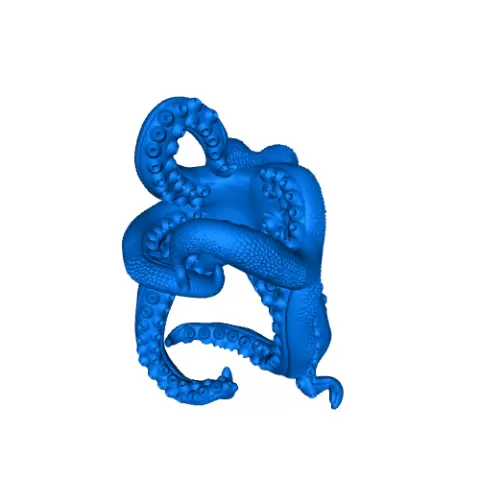 octopus