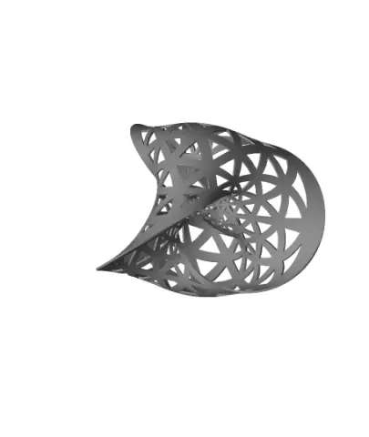 Seifert surface for the (3,3) torus link