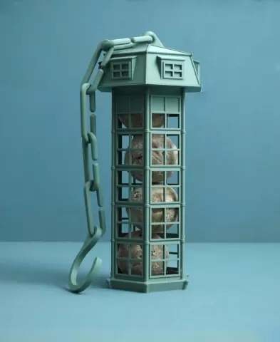 Bird feeder | suet ball holder