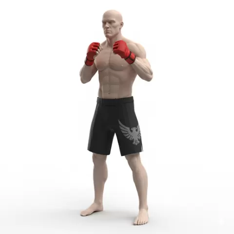 MMA fighter ground stance, profession, job, worker, career, occupation, employee, expert, specialist, industry, service, uniform, tools, skills, training, work, professional, figure, figurine, model, collectible