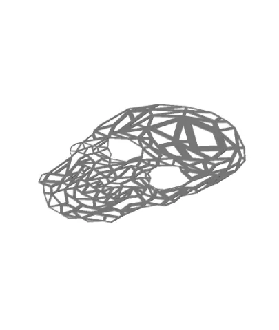 2D SKULL POLY