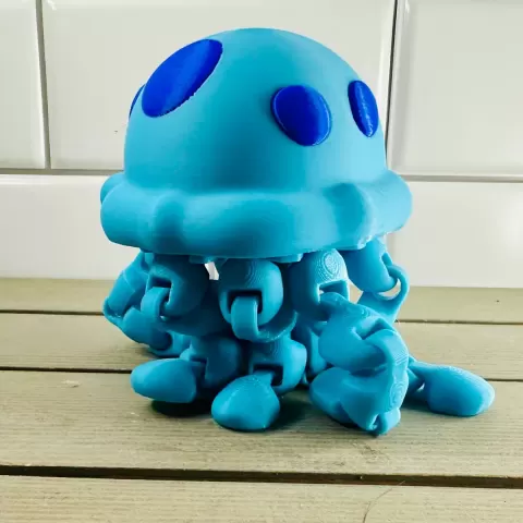 Painted Jellyfish